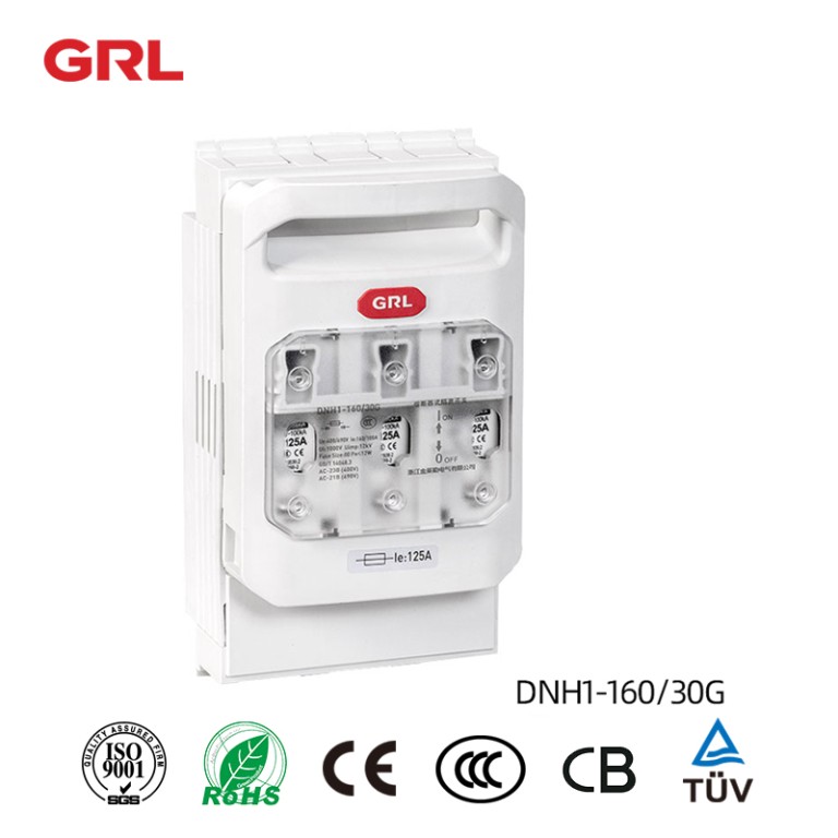 160A 3 Phase Fused Disconnect Switch DNH1-160/30G