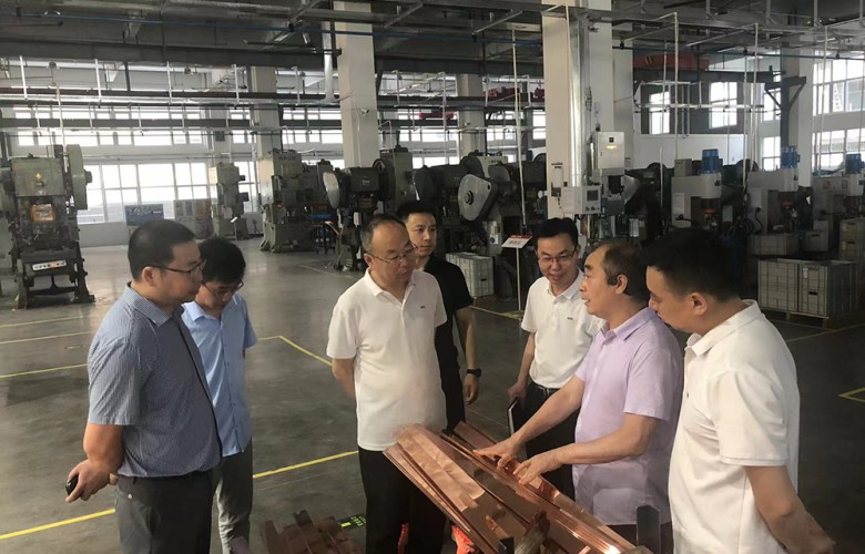 Expert exchange | Han Xigen, deputy director of the Power Distribution Research Institute of China Electric Power Research Institute, visited our company