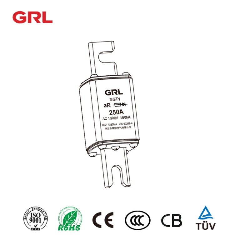 NGT2-1000 Semiconductor protection fuse link