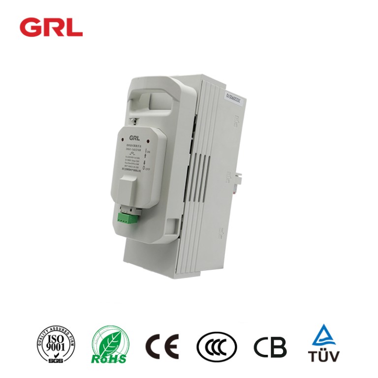 DNH1-160/21GR 2P fused switch