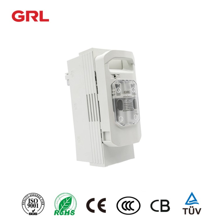 DNH1-160/21G 2P switch fused