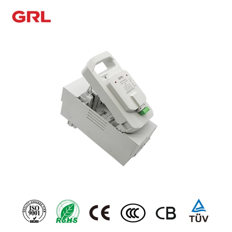 DNH1-160/21GR 2P fused switch