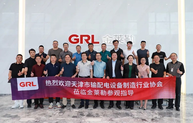 2023.5.18 GRL Information | Chairman Zheng Dingyin and his delegation from Tianjin Transmission and Distribution Equipment Manufacturing Industry Association visited GRL for inspection