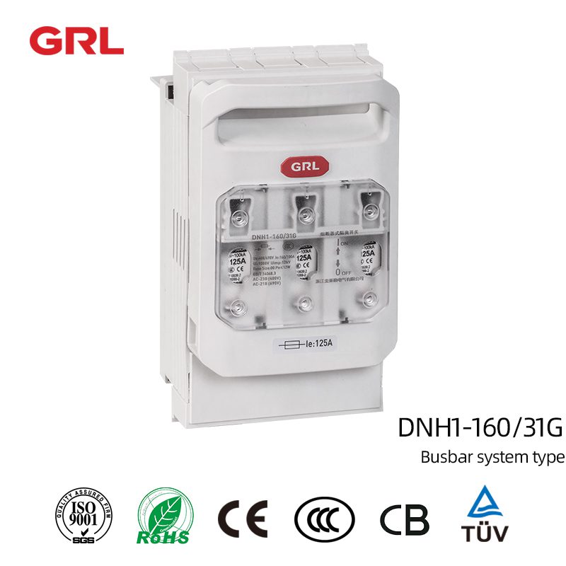 Busbar System Type 160A 3 Phase AC Disconnect Fuse Switch DNH1160/31G GRL GRUOP