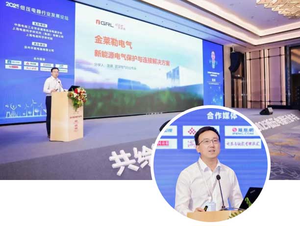 2025 Low-Voltage Electrical Industry Conference